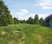 земля 18 сот городской округ Бор