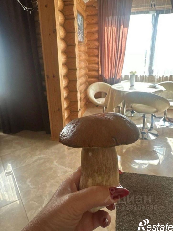 Коттедж/дом