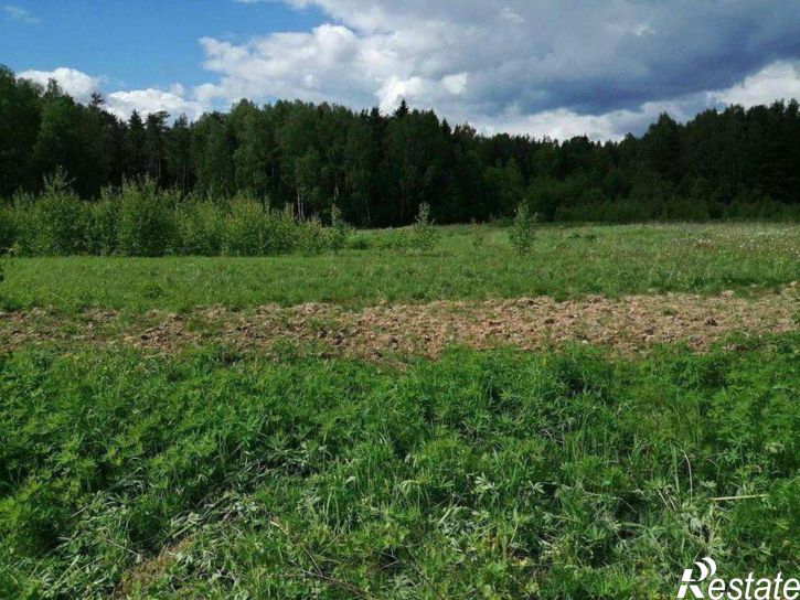 Земельный участок деревня Гавриловка
